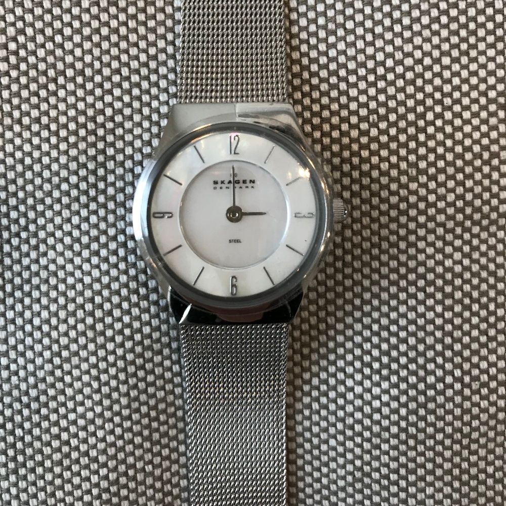 Skagen Watch